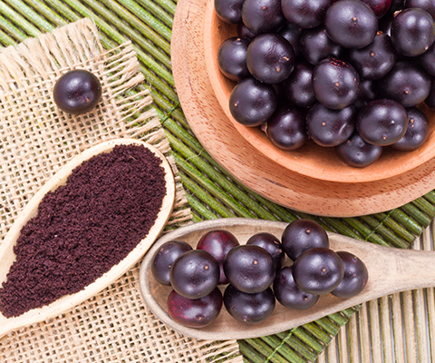 Açaí, la fruta estrella de Brasil que deberías incorporar a tu dieta - UMAI Body and World